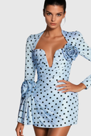 Lenora | Women's Long Sleeve Dot Flower Ruch Mini Dress